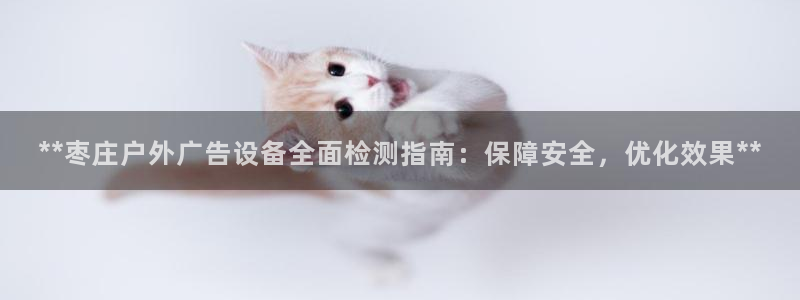 杏宇平台注册地址：**枣庄户外广告设备全面检测指南：保障安全，优化效果**