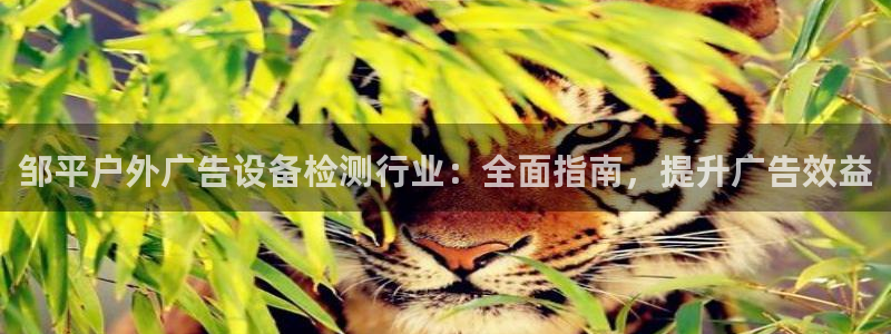 杏宇平台代理怎么样赚钱：邹平户外广告设备检测行业：全面指南，提升广告效益