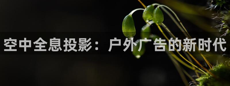杏宇平台官网注册：空中全息投影：户外广告的新时代