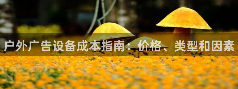 杏宇平台总代理是谁：户外广告设备成本指南：价格、类型和因素