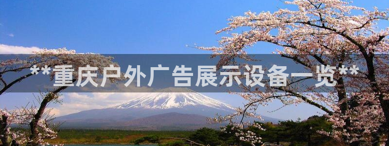杏宇平台主管：**重庆户外广告展示设备一览**
