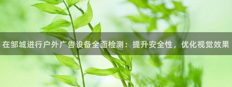 杏宇平台登录步骤图：在邹城进行户外广告设备全面检测：提升安全性，优化视觉效果