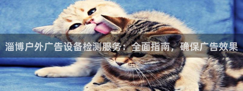 杏宇平台总代理电话：淄博户外广告设备检测服务：全面指南，确保广告效果