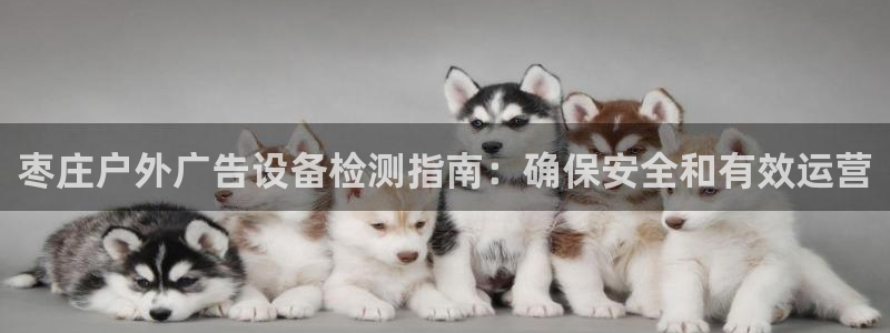 杏宇平台怎么样赚钱：枣庄户外广告设备检测指南：确保安全和有效运营