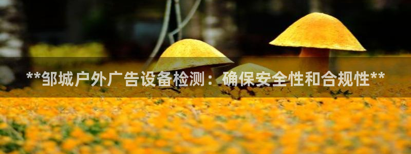 杏宇平台总代理电话：**邹城户外广告设备检测：确保安全性和合规性**