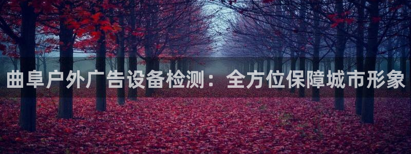 杏宇平台注册登录：曲阜户外广告设备检测：全方位保障城市形象