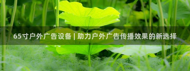 杏宇平台注册地址在哪里：65寸户外广告设备 | 助力户外广告传播效果的新选择