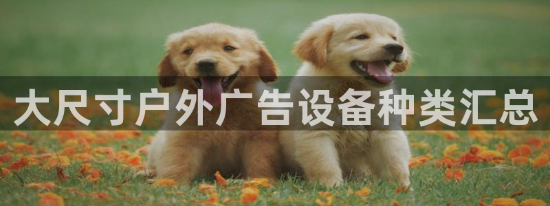 杏宇平台注册地址：大尺寸户外广告设备种类汇总