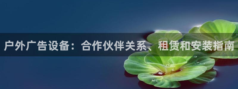 杏宇官方平台官网入口：户外广告设备：合作伙伴关系、租赁和安装指南