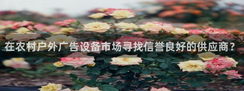 杏宇平台代理多少钱一次：在农村户外广告设备市场寻找信誉良好的供应商？