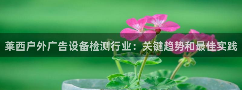 杏宇平台是什么：莱西户外广告设备检测行业：关键趋势和最佳实践