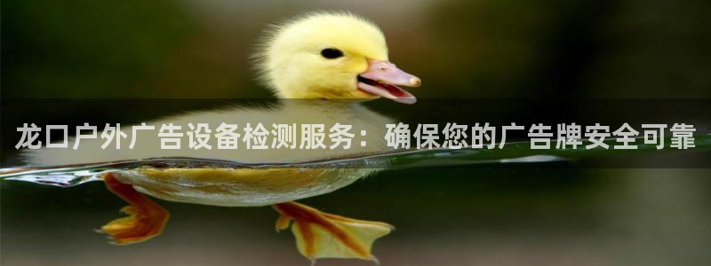 杏宇平台是什么：龙口户外广告设备检测服务：确保您的广告牌安全可靠