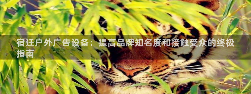 杏宇平台好吗：宿迁户外广告设备：提高品牌知名度和接触受众的终极
指南