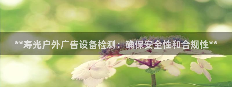 杏宇平台官网注册：**寿光户外广告设备检测：确保安全性和合规性**