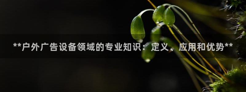 杏宇平台代理多少钱一个：**户外广告设备领域的专业知识：定义、应用和优势**