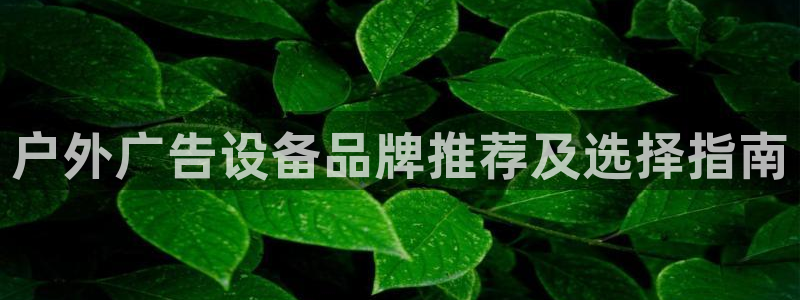 杏宇平台登录步骤图：户外广告设备品牌推荐及选择指南