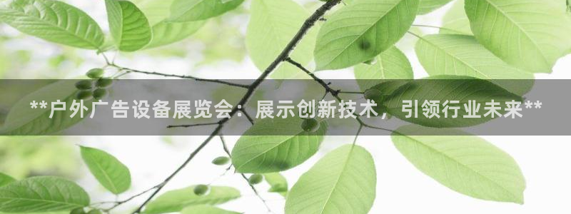 杏宇平台怎么样赚钱：**户外广告设备展览会：展示创新技术，引领行业未来**