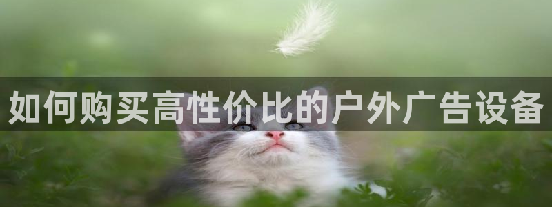 杏宇平台代理多少钱一个月：如何购买高性价比的户外广告设备