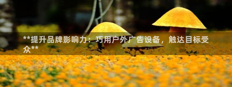杏宇平台代理多少钱：**提升品牌影响力：巧用户外广告设备，触达目标受
众**