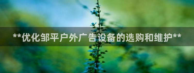 杏宇官方平台官网：**优化邹平户外广告设备的选购和维护**