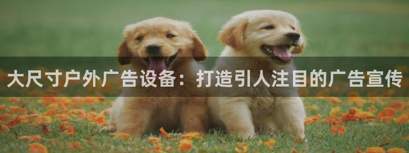 杏宇官方平台官网：大尺寸户外广告设备：打造引人注目的广告宣传