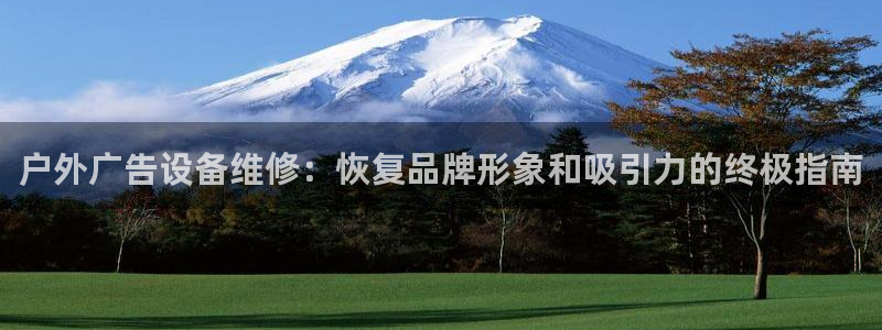 杏宇平台是什么