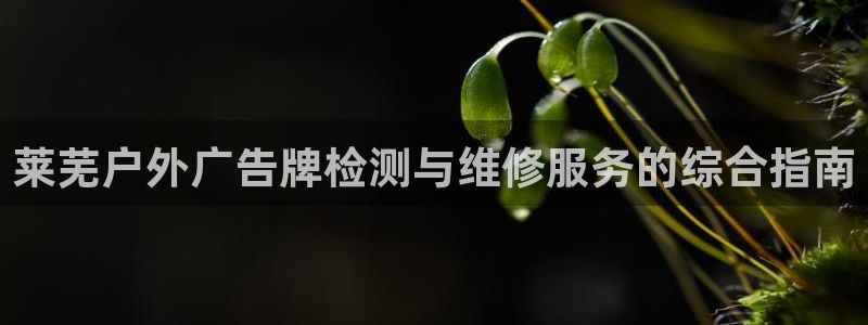 杏宇平台注册地址：莱芜户外广告牌检测与维修服务的综合指南