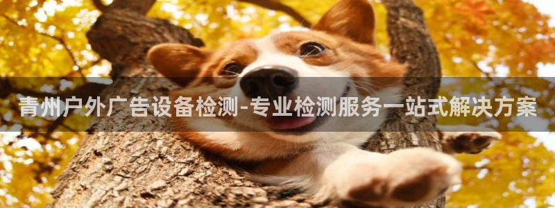 杏宇平台代理怎么样赚钱