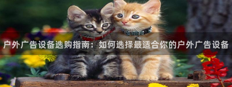 杏宇平台总代理电话：户外广告设备选购指南：如何选择最适合你的户外广告设备