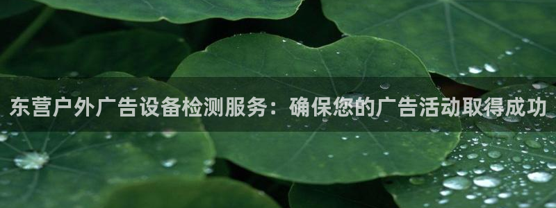 杏宇平台测速链接：东营户外广告设备检测服务：确保您的广告活动取得成功