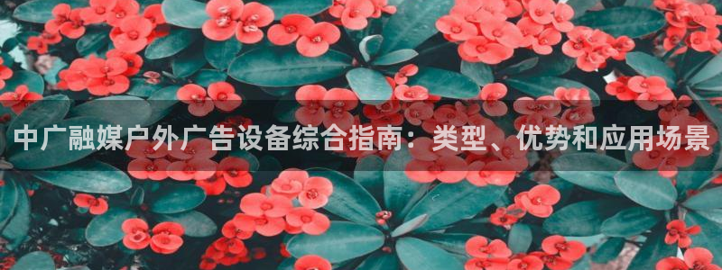 杏宇平台招商电话号码：中广融媒户外广告设备综合指南：类型、优势和应用场景