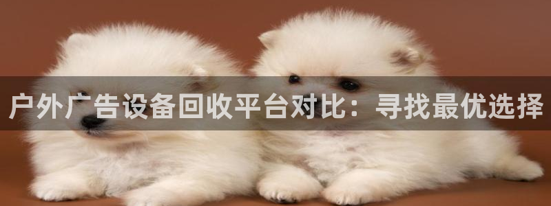 杏宇平台总代理是谁：户外广告设备回收平台对比：寻找最优选择