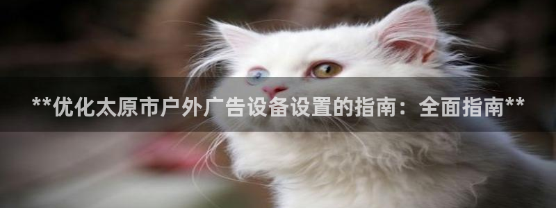 杏宇平台招商电话号码