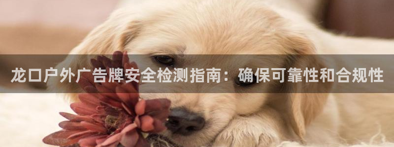 杏宇平台登录步骤是什么：龙口户外广告牌安全检测指南：确保可靠性和合规性