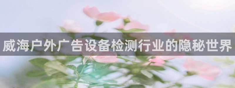杏宇平台招商怎么样：威海户外广告设备检测行业的隐秘世界