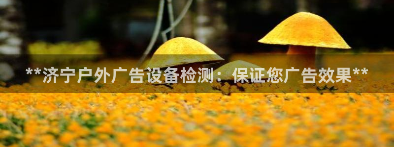杏宇官方平台官网入口：**济宁户外广告设备检测：保证您广告效果**