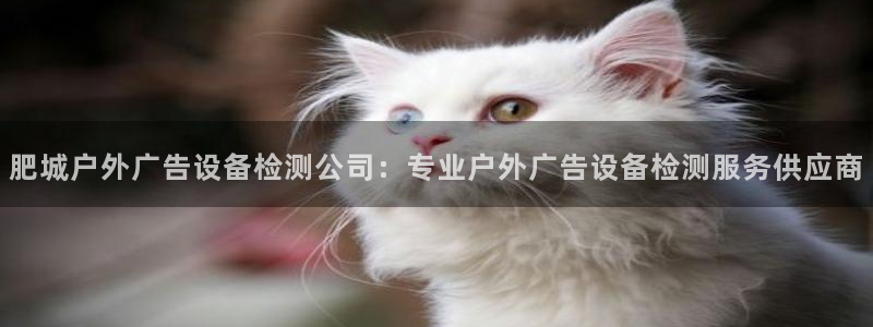 杏宇平台测速链接：肥城户外广告设备检测公司：专业户外广告设备检测服务供应商