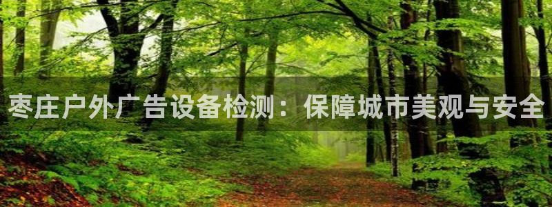 杏宇平台代理怎么赚钱快：枣庄户外广告设备检测：保障城市美观与安全