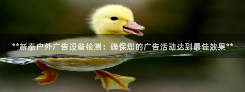 杏宇代理注册：**新泰户外广告设备检测：确保您的广告活动达到最佳效果**