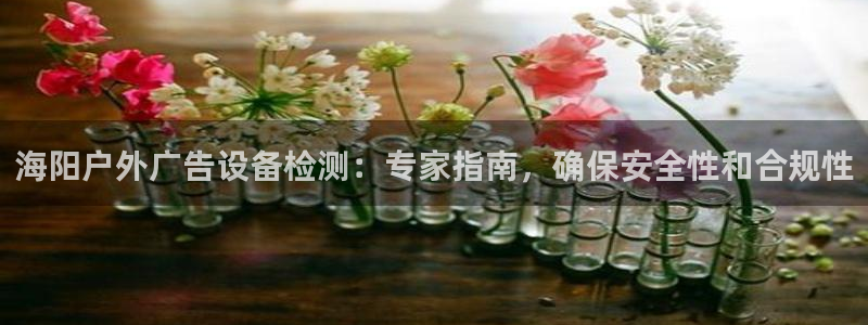 杏宇平台官网注册：海阳户外广告设备检测：专家指南，确保安全性和合规性