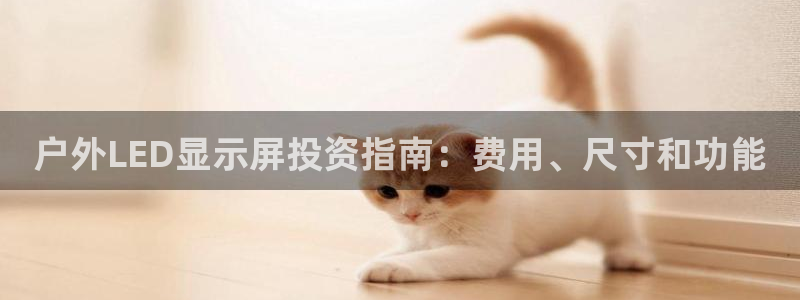 杏宇平台提现为什么这么久呢：户外LED显示屏投资指南：费用、尺寸和功能