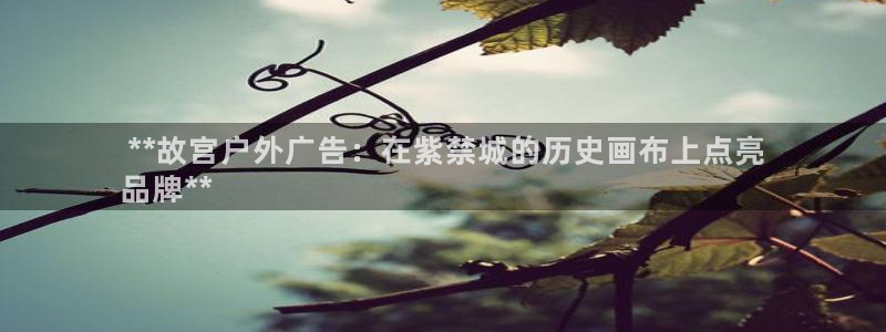 杏宇平台招商： **故宫户外广告：在紫禁城的历史画布上点亮
品牌**