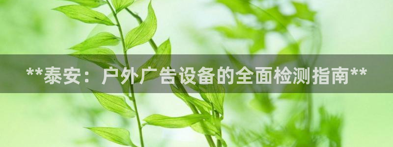 杏宇平台代理怎么赚钱的：**泰安：户外广告设备的全面检测指南**
