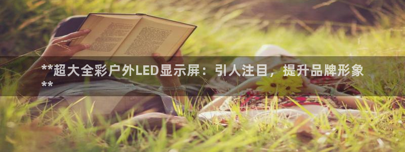 杏宇平台总代理：**超大全彩户外LED显
