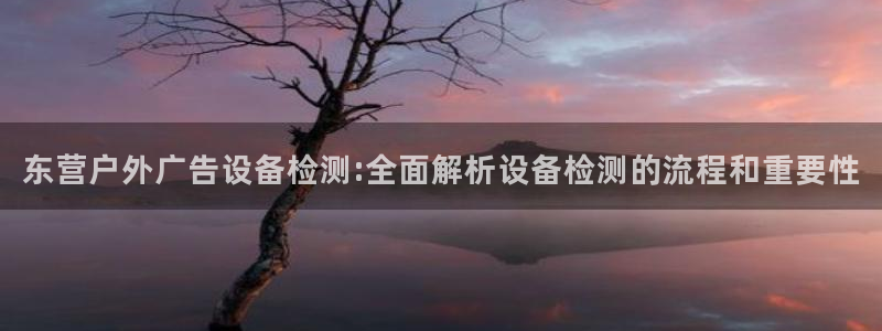 杏宇平台客服：东营户外广告设备检测:全面解析设备检测的流程和重要性