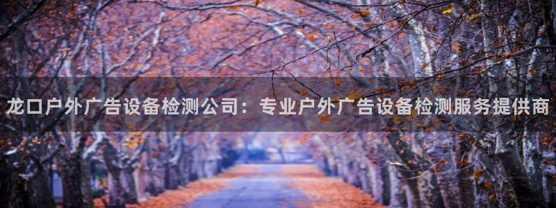 杏宇平台总代理是谁：龙口户外广告设备检测